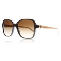 Bvlgari 8164B Sunglasses Cocoa 897/13