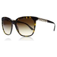 bvlgari 8173b sunglasses dark havana 504 13