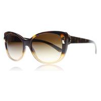 bvlgari 8170 sunglasses havana 536213