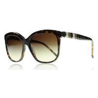 Bvlgari 8155 Sunglasses Dark Tortoise 504/13