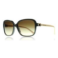 bvlgari 8150b sunglasses brown 89713