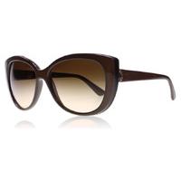 bvlgari 8169q sunglasses brown 1111 13 57mm