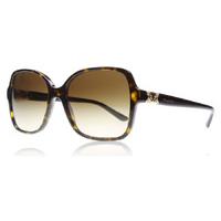 bvlgari 8164b sunglasses tortoise 50413