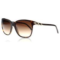 Bvlgari 8136B Sunglasses Dark Havana 504/13