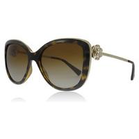 bvlgari bv6094b sunglasses dark havana 278t5 57mm