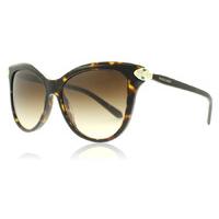 bvlgari bv8188b sunglasses dark havana 50413 57mm