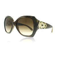 bvlgari 8182b sunglasses dark havana 97713 55mm