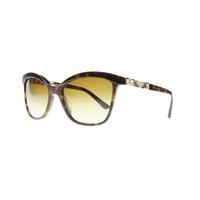 Bvlgari BV8163B 504/T5 Sand/Havana