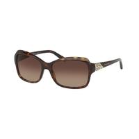 Bvlgari BV8153B 504/13 Dark Havana