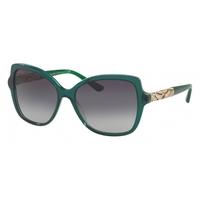 bvlgari bv8174b 54038g transparent striped green