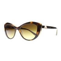 Bvlgari BV8168B 537913 Havana/Brown