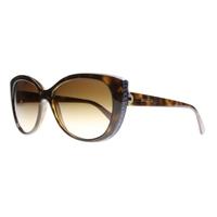 Bvlgari BV8157BQ 977/13 Havana/Leather