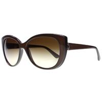 Bvlgari BV 8169Q 111113 Light Brown