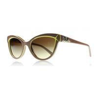 Bvlgari BV8156B 535513 Brown/Green