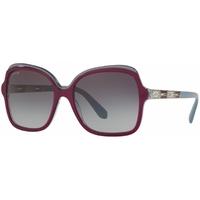 bvlgari bv8181b 54198g violet pearl