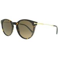 Bvlgari BV7030 504/73 Dark Havana