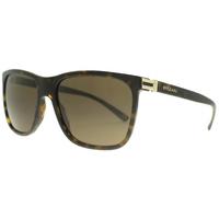 Bvlgari BV7027 504/73 Dark Havana