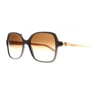 Bvlgari BV8164B 897/13 Cocoa