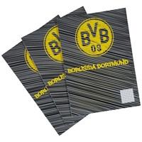 BVB Exercise Books - Pack of 3, N/A