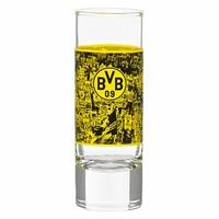 BVB Shot Glass (Set of 2)