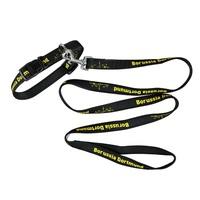 BVB Collar and Lead - Small