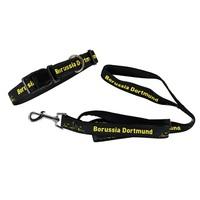 BVB Collar and Lead - Large