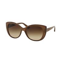 Bvlgari Sunglasses BV8157BQ 111113