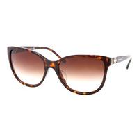 Bvlgari Sunglasses BV8132BF Asian Fit 504/13