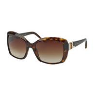 Bvlgari Sunglasses BV8133 504/13