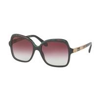 Bvlgari Sunglasses BV8181B 54188H