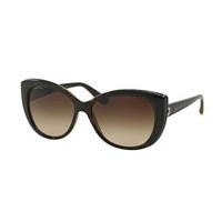 Bvlgari Sunglasses BV8157BQ 977/13