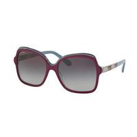 Bvlgari Sunglasses BV8181B 54198G