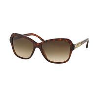 Bvlgari Sunglasses BV8142BF Asian Fit 526813