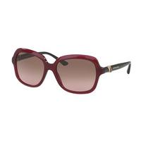 Bvlgari Sunglasses BV8176B 533314