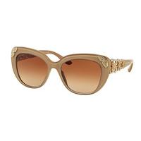 Bvlgari Sunglasses BV8162BF Asian Fit 538213