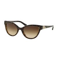 bvlgari sunglasses bv8156b 535313