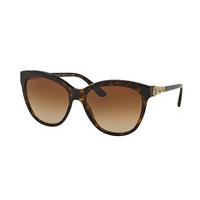 bvlgari sunglasses bv8158f asian fit 50413