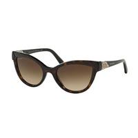 Bvlgari Sunglasses BV8156B 504/13