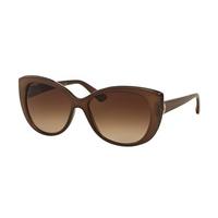 Bvlgari Sunglasses BV8169Q 111113