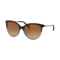 Bvlgari Sunglasses BV8161B 537213