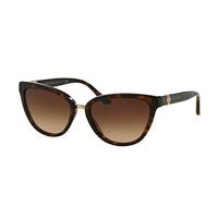 Bvlgari Sunglasses BV8165F Asian Fit 504/13