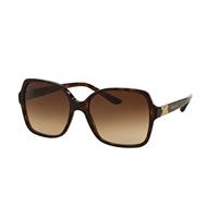 Bvlgari Sunglasses BV8164BF Asian Fit 504/13