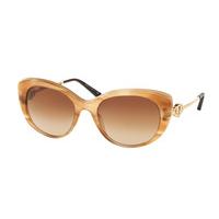 Bvlgari Sunglasses BV8141K 523513