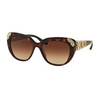 Bvlgari Sunglasses BV8162BF Asian Fit 504/13