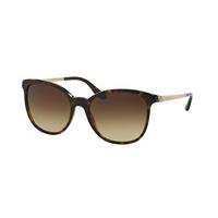 Bvlgari Sunglasses BV8160BF Asian Fit 504/13