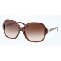 Bvlgari Sunglasses BV8124BF Asian Fit 529013