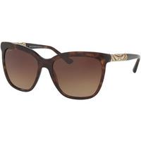 Bvlgari Sunglasses BV8173B 504/13