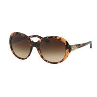 Bvlgari Sunglasses BV8154BF Asian Fit 529413