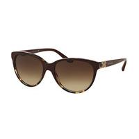 Bvlgari Sunglasses BV8166BF Asian Fit 537013