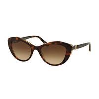 Bvlgari Sunglasses BV8168B 537913